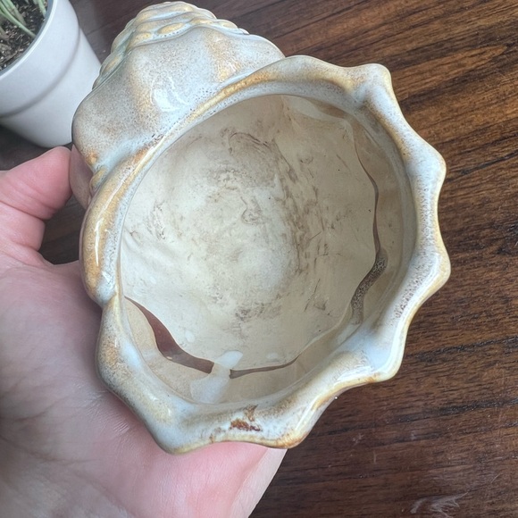 Ceramic Sea Shell Catch-All Dish 🐚 - Picture 8 of 8
